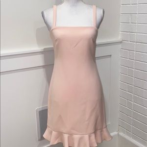 NWT Rachel Zoe Darcie Dress in Rosebud